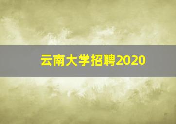 云南大学招聘2020