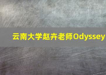 云南大学赵卉老师Odyssey