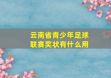 云南省青少年足球联赛奖状有什么用