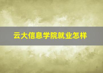 云大信息学院就业怎样