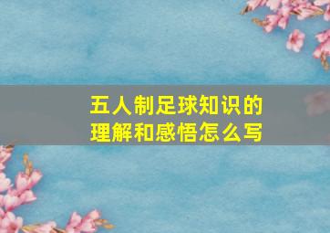 五人制足球知识的理解和感悟怎么写