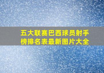 五大联赛巴西球员射手榜排名表最新图片大全