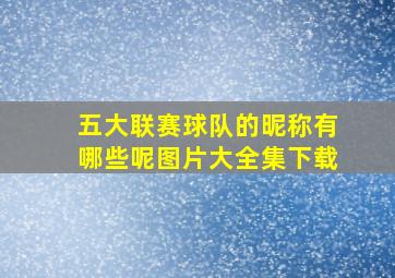 五大联赛球队的昵称有哪些呢图片大全集下载