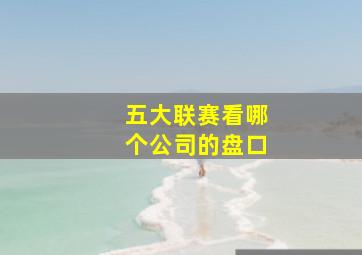 五大联赛看哪个公司的盘口