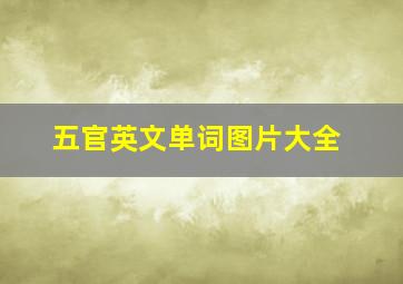 五官英文单词图片大全