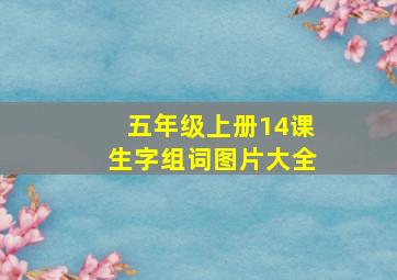 五年级上册14课生字组词图片大全