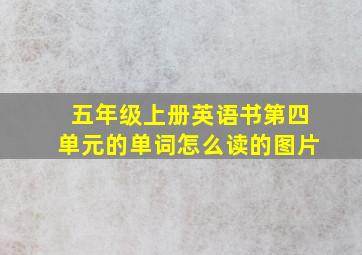 五年级上册英语书第四单元的单词怎么读的图片