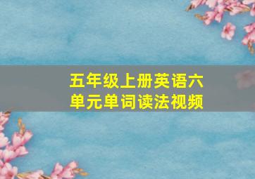 五年级上册英语六单元单词读法视频