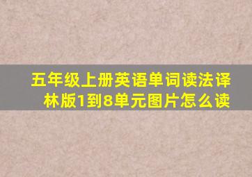 五年级上册英语单词读法译林版1到8单元图片怎么读