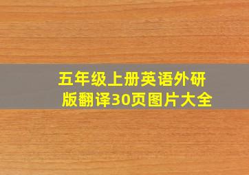 五年级上册英语外研版翻译30页图片大全