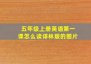 五年级上册英语第一课怎么读译林版的图片