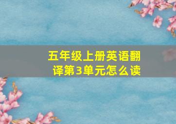 五年级上册英语翻译第3单元怎么读