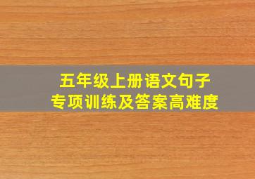 五年级上册语文句子专项训练及答案高难度