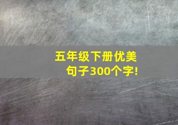 五年级下册优美句子300个字!