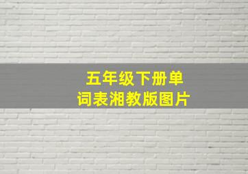 五年级下册单词表湘教版图片