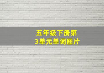 五年级下册第3单元单词图片