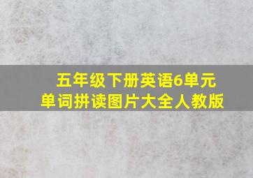 五年级下册英语6单元单词拼读图片大全人教版