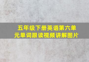 五年级下册英语第六单元单词跟读视频讲解图片