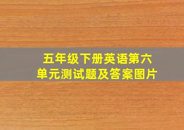 五年级下册英语第六单元测试题及答案图片