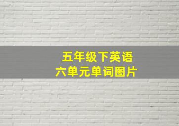 五年级下英语六单元单词图片