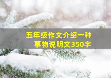 五年级作文介绍一种事物说明文350字