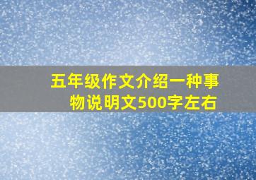 五年级作文介绍一种事物说明文500字左右