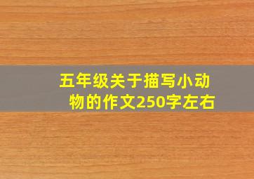 五年级关于描写小动物的作文250字左右