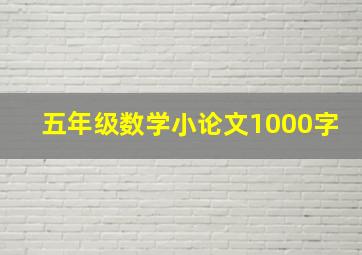 五年级数学小论文1000字