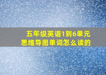 五年级英语1到6单元思维导图单词怎么读的