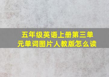 五年级英语上册第三单元单词图片人教版怎么读