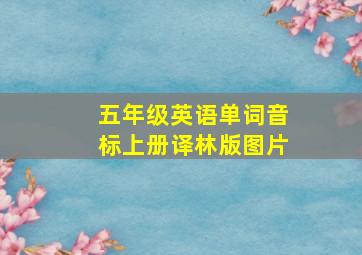 五年级英语单词音标上册译林版图片