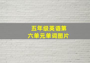 五年级英语第六单元单词图片