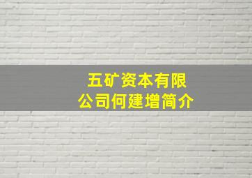 五矿资本有限公司何建增简介