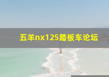 五羊nx125踏板车论坛