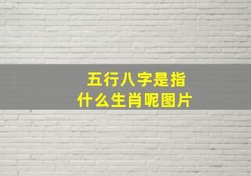 五行八字是指什么生肖呢图片