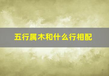 五行属木和什么行相配