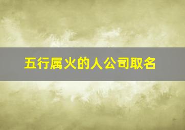 五行属火的人公司取名