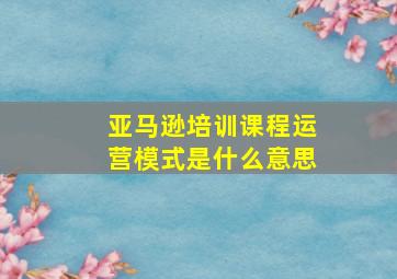 亚马逊培训课程运营模式是什么意思