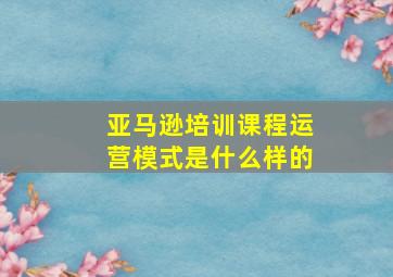 亚马逊培训课程运营模式是什么样的