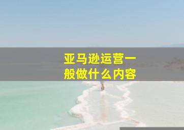 亚马逊运营一般做什么内容