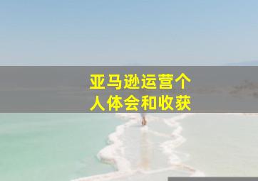 亚马逊运营个人体会和收获