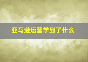 亚马逊运营学到了什么