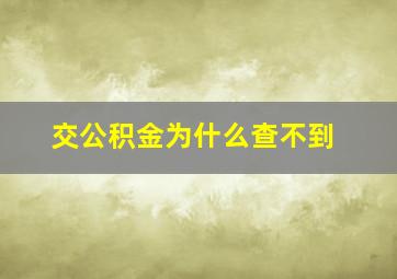 交公积金为什么查不到