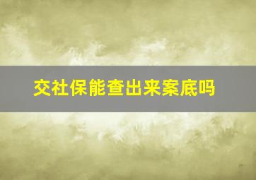 交社保能查出来案底吗