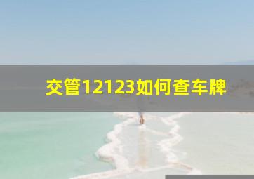 交管12123如何查车牌