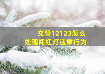 交管12123怎么处理闯红灯违章行为