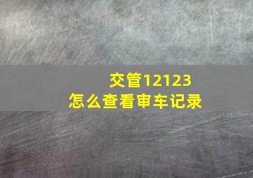 交管12123怎么查看审车记录