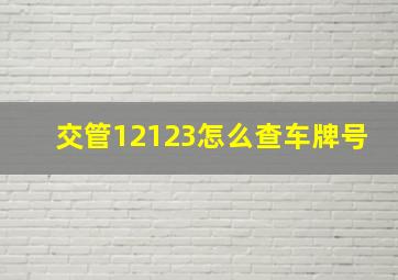 交管12123怎么查车牌号