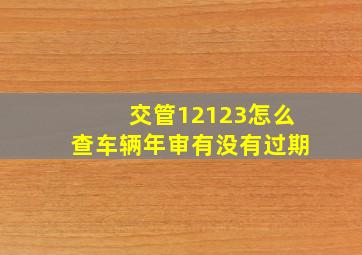 交管12123怎么查车辆年审有没有过期