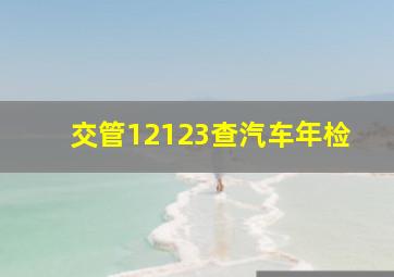 交管12123查汽车年检